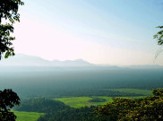 Surga Tersembunyi Pencinta Hiking di Kalbar, Hutan Sakral Sampai Lautan Awan