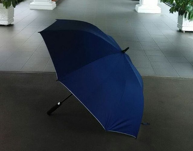 Payung Biru (Instagram @kaesangp)