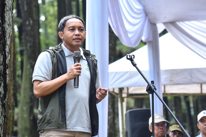 TNI Diterjunkan ke Ujung Kulon Kumpulkan Sperma dan Ovum Badak Jawa
