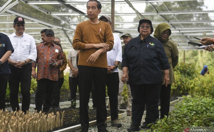 Terungkap Alasan Jokowi Panggil Menteri LHK ke Istana