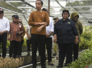 Terungkap Alasan Jokowi Panggil Menteri LHK ke Istana