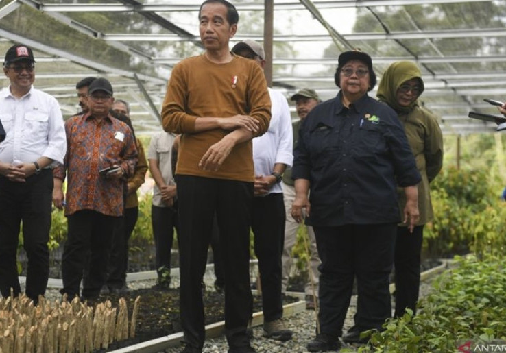 Terungkap Alasan Jokowi Panggil Menteri LHK ke Istana