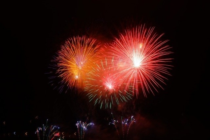 Sebenarnya OIPA Internasional telah mengimbau masyarakat untuk tidak menyalakan petasan demi menjaga keamanan hewan liar maupun domestik. (Foto: Pixabay/@Hans)