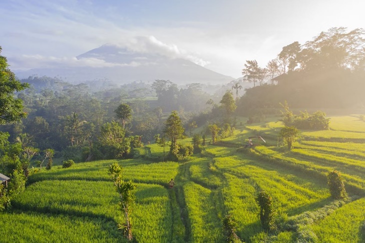 4 Rekomendasi Wisata Liburan di Bali