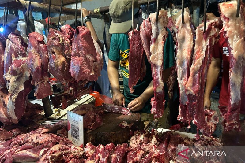 Masuk Agustus Daging Sapi Makin Mahal, Lampaui Harga Acuan Sekilo Rp140 Ribu 