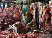 Masuk Agustus Daging Sapi Makin Mahal, Lampaui Harga Acuan Sekilo Rp140 Ribu 