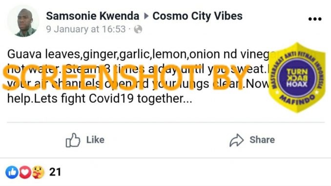 Tangkapan layar hoaks. (Foto: Mafindo)