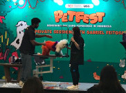 PETFEST 2025 Suguhkan Berbagai Aktivitas Menarik Bagi Penyuka Hewan