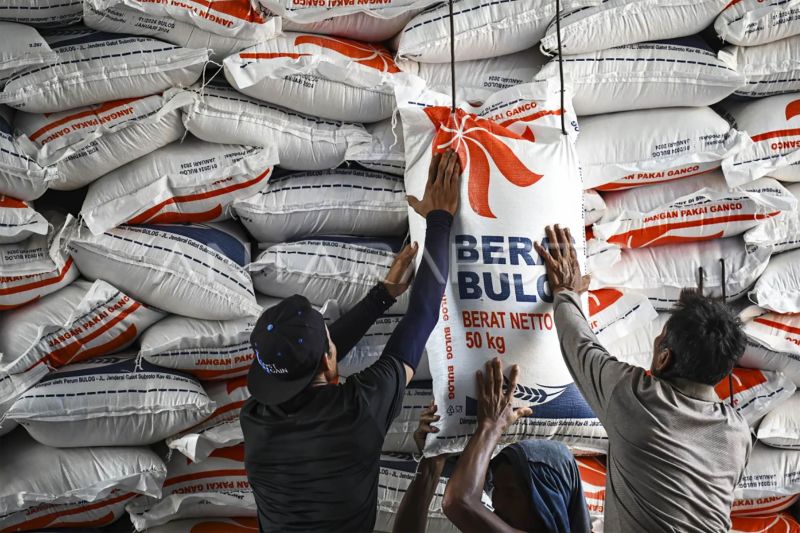 Bukan Karena Bansos, Hasil Panen Rendah Diklaim Bikin Beras Mahal