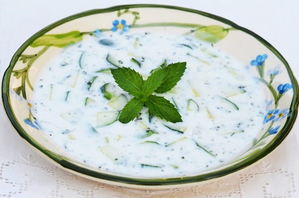 yogurt mentimun