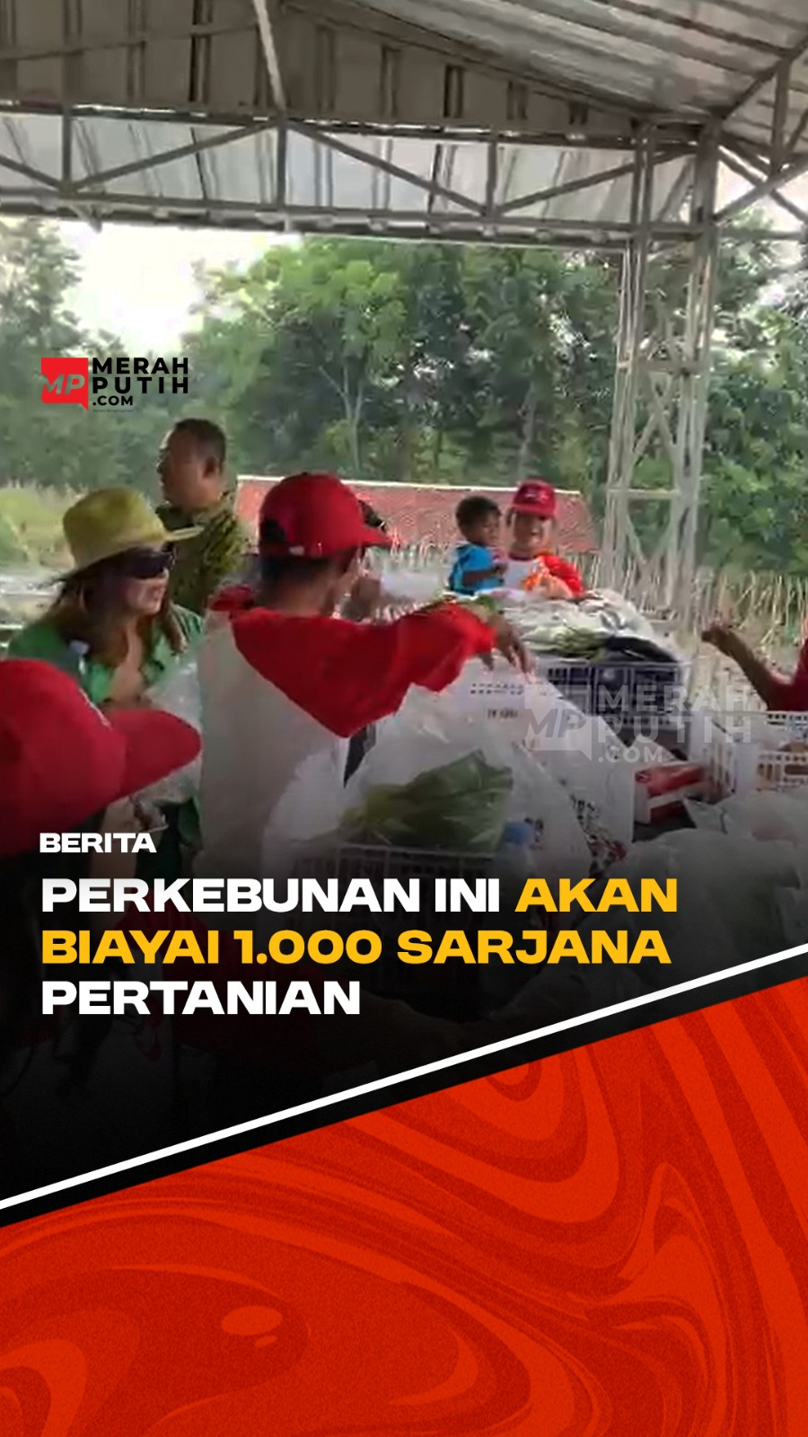 Perkebunan yang Bisa Ngebiayain 1000 Sarjana Pertanian