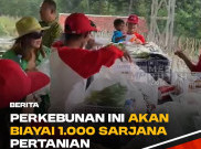 Perkebunan yang Bisa Ngebiayain 1000 Sarjana Pertanian