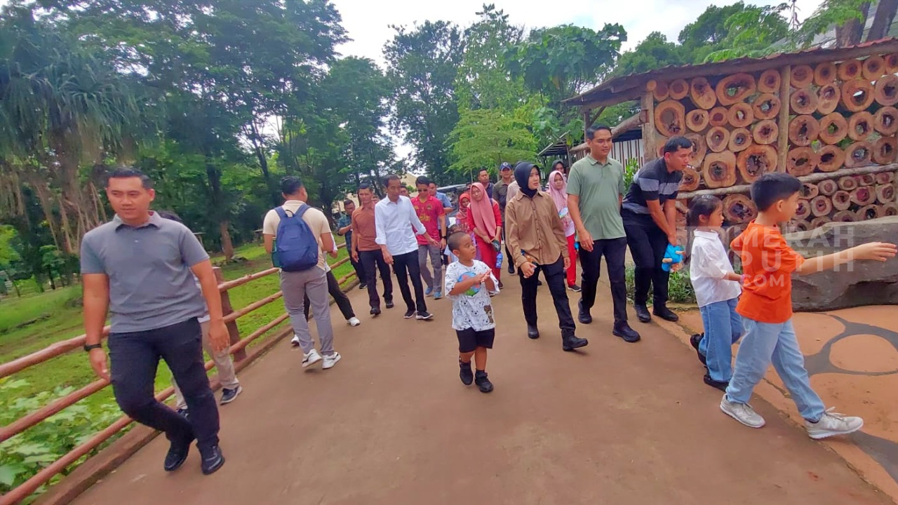 Hasto Ditetapkan Tersangka KPK, Jokowi Asik Piknik Bersama Cucu di Solo Safari