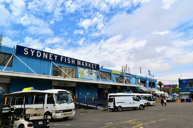 Sidney Fish Market. (Foto: instagram.com/nekota64)
