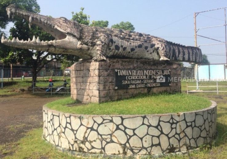Ini 3 Penangkaran Buaya yang Ada di Indonesia
