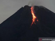 Merapi Luncurkan Belasan Kali Guguran Lava Pijar
