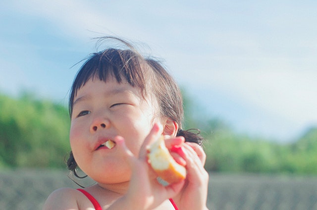 makanan baby