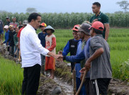 Presiden Jokowi Bakal Pertemukan Menteri Susi dengan Nelayan, Kenapa Ya?