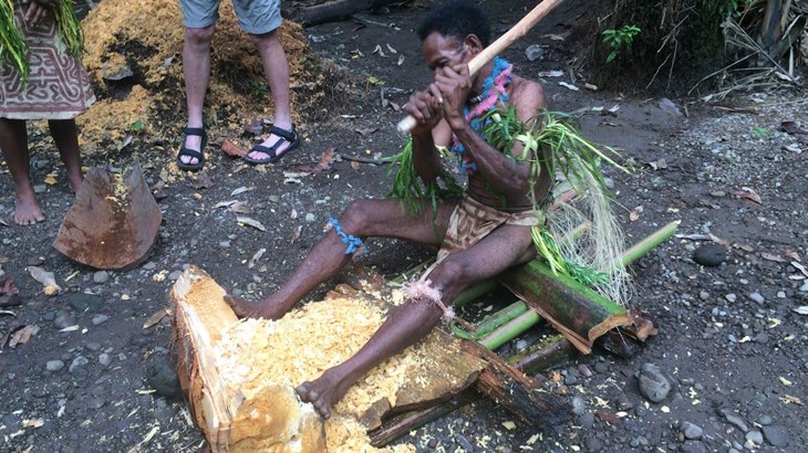 Sate Ulat Sagu, Kuliner Ekstrem dari Tanah Papua