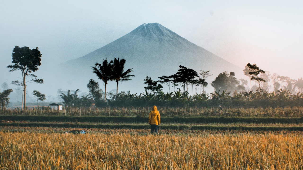 Wisatawan Indonesia Andalkan Fitur AI untuk Rekomendasi dan Layanan Hotel