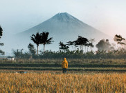 Wisatawan Indonesia Andalkan Fitur AI untuk Rekomendasi dan Layanan Hotel