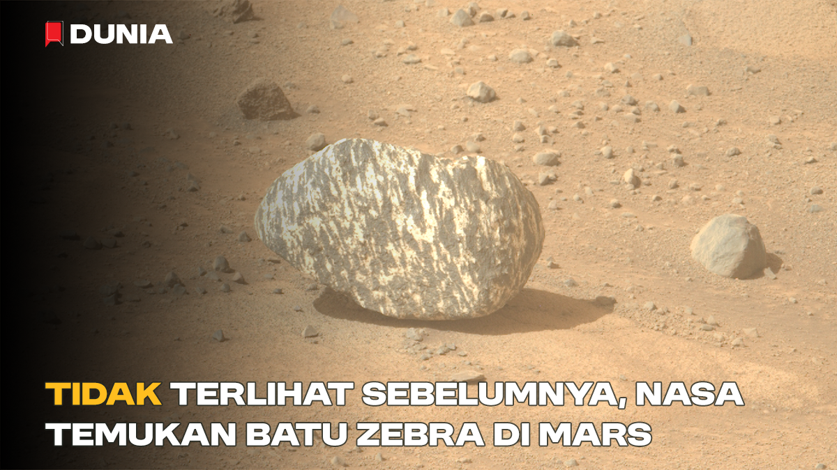 Tidak Terlihat Sebelumnya, NASA Temukan Batu Zebra di Mars