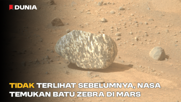 Tidak Terlihat Sebelumnya, NASA Temukan Batu Zebra di Mars