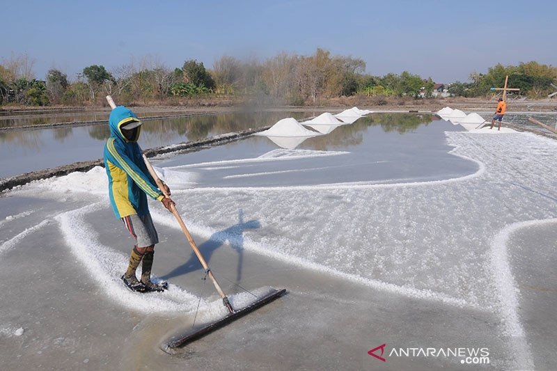 Jokowi Izinkan Industri Impor Garam dan Gula Secara Langsung