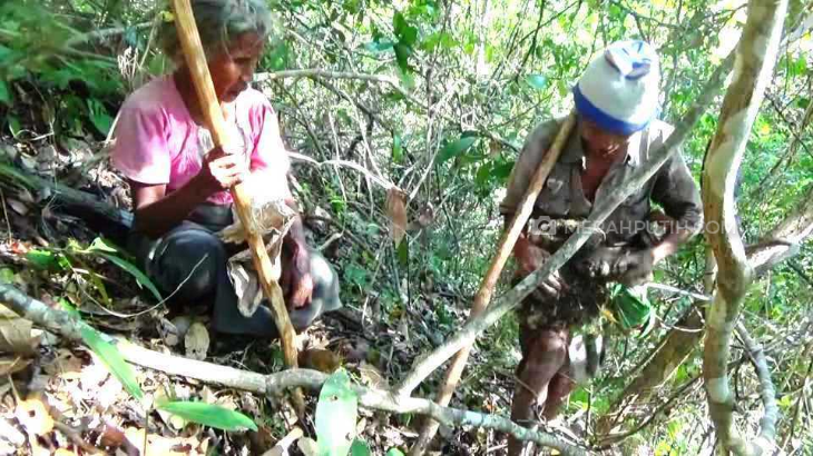 Kekeringan Plus Paceklik Bikin Warga Sumba Tengah Makan Umbi Beracun
