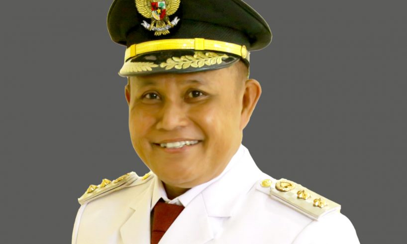 Bupati Lampung Selatan, Nanang Ermanto