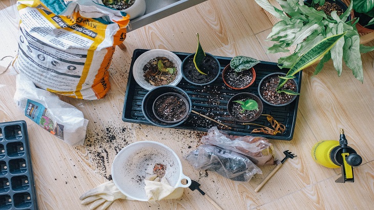 Merawat Kesehatan Fisik dan Mental Lewat Berkebun