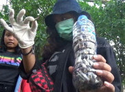 Ratusan Anak-anak Solo Gelar Aksi Punguti Puntung Rokok di Taman Bermain