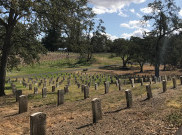 Penggali Kubur, Jagoan di Kala Pandemi