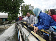 Respons Keluhan Warga Terdampak Banjir, Gubernur DKI Tambah Pompa Air di Rawa Buaya