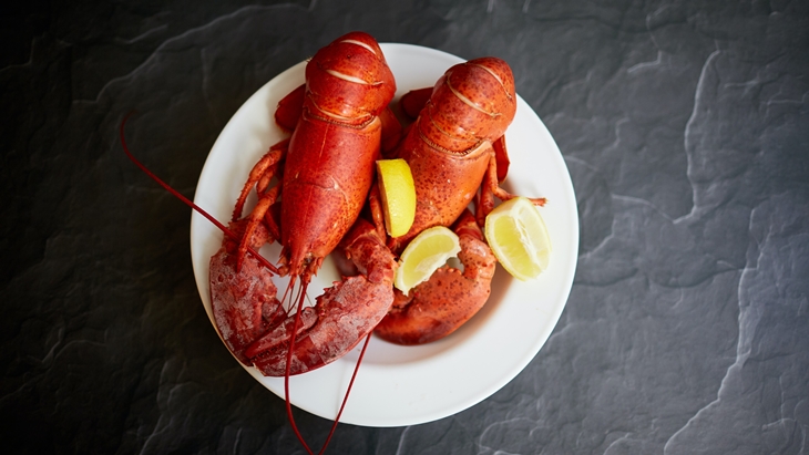 Beragam Kandungan Nutrisi dan Manfaat Lobster 
