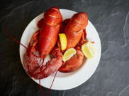 Beragam Kandungan Nutrisi dan Manfaat Lobster 