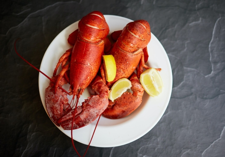 Polresta Bandara Soetta Sidik Dugaan Penyelundupan 200.000 Benih Lobster Ilegal