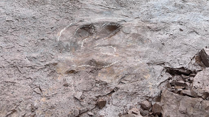 Jejak Kecil Dinosaurus di China Barat Laut