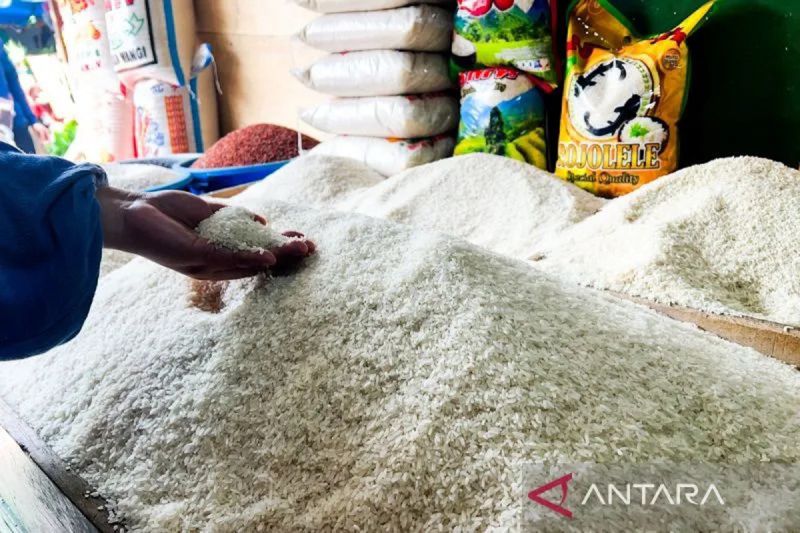 Harga Beras di Retail Moderen Bisa Capai Rp 130 Per 5 Kilogram, YLKI Pertanyakan Stok Beras Melimpah