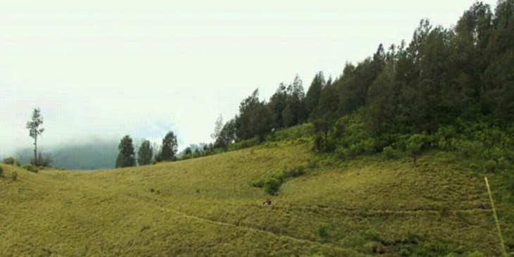 sikasur situbondo