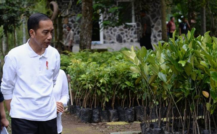Jokowi Dikritik Telah Gadaikan Komitmen HAM Demi Ekonomi