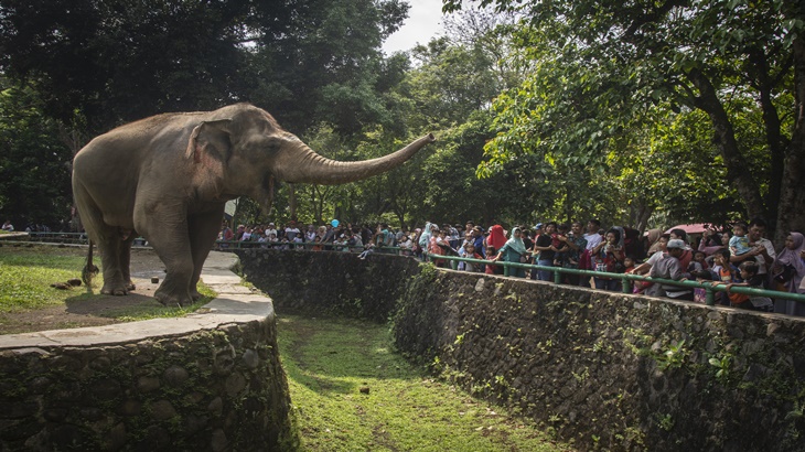 Tunjukkan Tinta di Jari, Masyarakat Gratis Masuk Taman Margasatwa Ragunan
