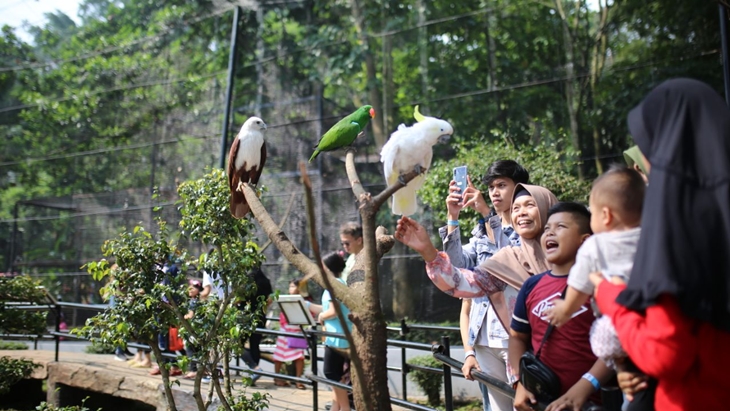 Pengadilan Putuskan Lahan Kebun Binatang Bandung Milik Pemkot