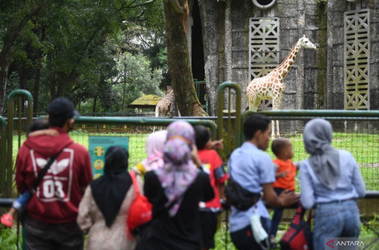 Saat Hari Lebaran, Taman-Taman di Jakarta Dibuka Buat Warga