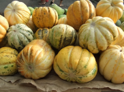 Manfaat Buah Blewah untuk Kesehatan Anda