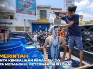 Pemerintah Diminta Kembalikan Peran Bulog Serta Merangkul Peternak Sapi Lokal