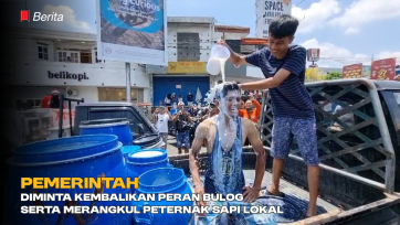 Pemerintah Diminta Kembalikan Peran Bulog Serta Merangkul Peternak Sapi Lokal