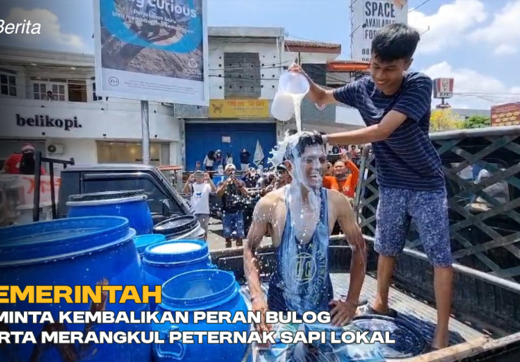 Pemerintah Diminta Kembalikan Peran Bulog Serta Merangkul Peternak Sapi Lokal