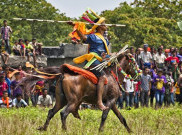Mengulik Asal Usul Tradisi Perang Pasola di Sumba Barat