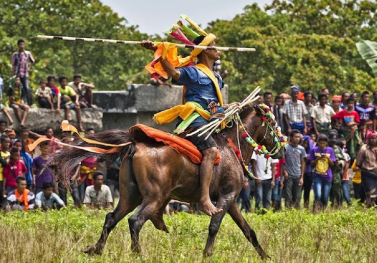 Mengulik Asal Usul Tradisi Perang Pasola di Sumba Barat
